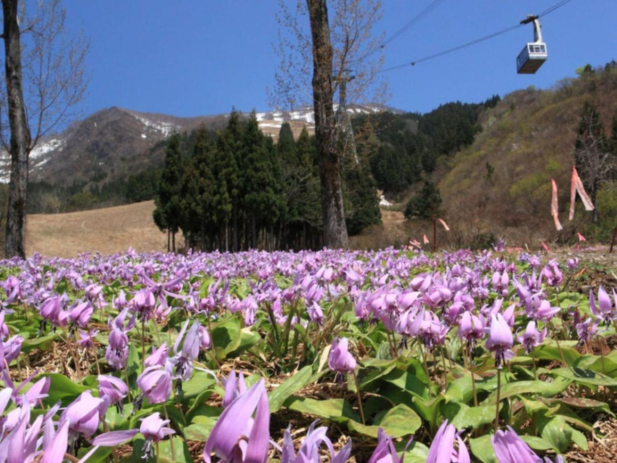 Pension Come Healing Tatami-Room- Vacation Stay 14980 Minamiuonuma Exterior foto